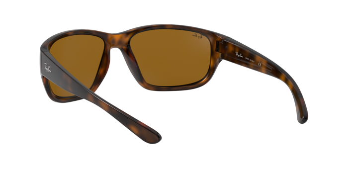 Ray-Ban RB4300 710/33  